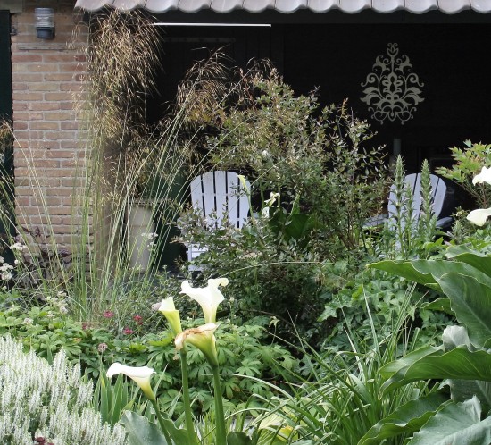 De Buitenkamer tuinontwerp, Grave. weelderige tuin in Grave 6