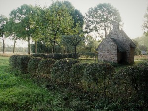 Groen erfgoed op landgoed Tongelaar tussen Gassel en Mill