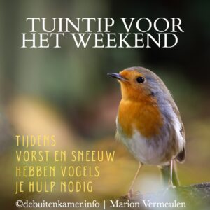 Vogels bijvoeren