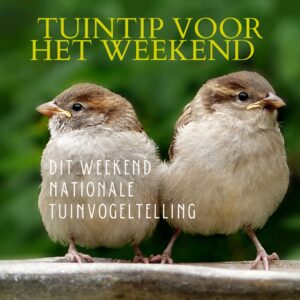 Tuinvogeltelling de Buitenkamer tuinontwerp Marion Vermeulen Gassel