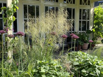 de Buitenkamer Tuinontwerp Home