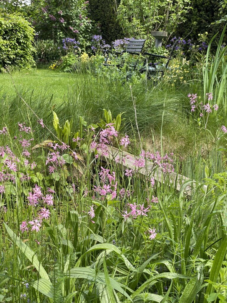 Wilde tuin ideeën