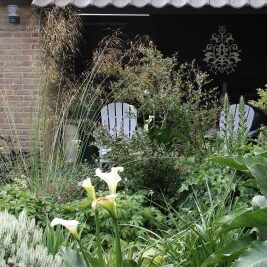 De Buitenkamer tuinontwerp, Grave. weelderige tuin in Grave 6